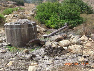 Les terres agricoles du Wadi Qana polluées par les eaux usées d’une colonie